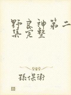 野良神第二季全集完整