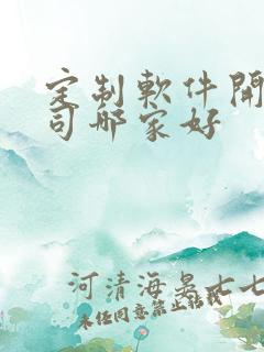 定制软件开发公司哪家好