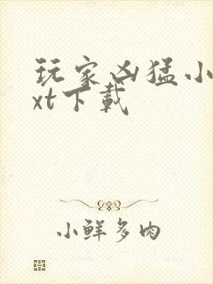 玩家凶猛小说txt下载