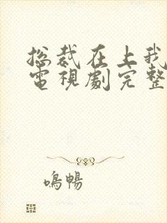 总裁在上我在下电视剧完整版