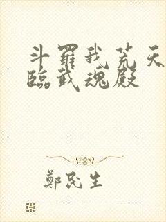 斗罗我荒天帝降临武魂殿