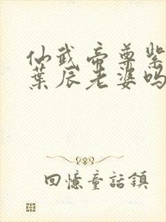 仙武帝尊紫萱是叶辰老婆吗