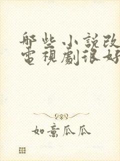 哪些小说改编的电视剧很好看