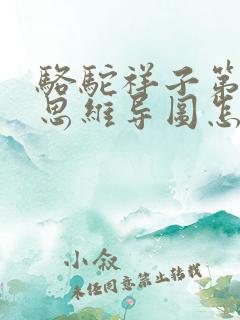 骆驼祥子第一章思维导图怎么画