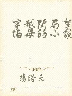 穿越开局拿下郭伯母的小说