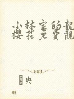 小林家的龙女仆樱花免费观看高清