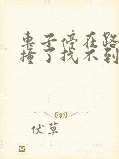 车子停在路边被撞了找不到人怎么办