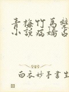 青梅竹马双男主小说病娇占有欲强