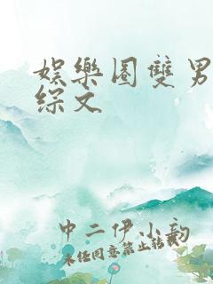 娱乐圈双男主娃综文