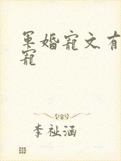 军婚宠文有肉甜宠