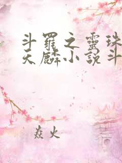 斗罗之灵珠神剑天麟小说斗