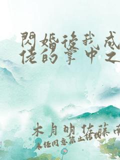 闪婚后我成了大佬的掌中之物短剧大全