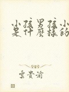 小孩男孩小肠气是什么样的