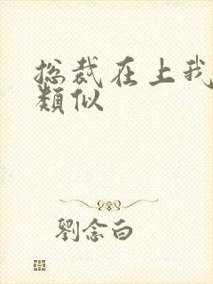 总裁在上我在下类似