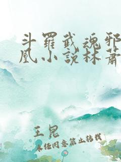 斗罗武魂邪火凤凰小说林萧结局