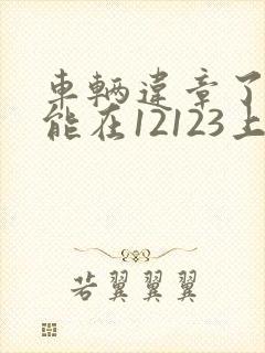 车辆违章了多久能在12123上查到