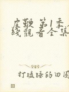 皮鞭 第1季在线观看全集免费播放