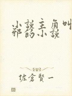 小说主角叫柳无邪的小说