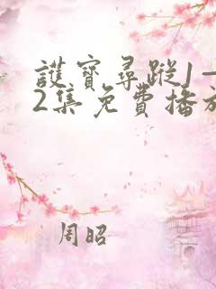 护宝寻踪1—42集免费播放