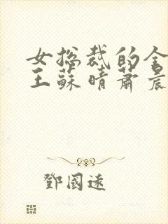 女总裁的全能兵王苏晴萧晨