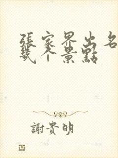 张家界出名的那几个景点