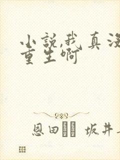 小说,我真没想重生啊