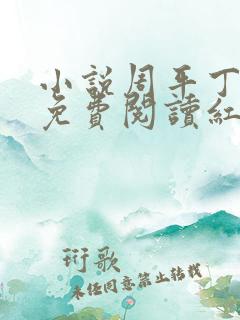 小说周平丁茹妍免费阅读红颜政道