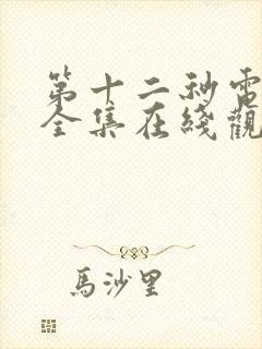 第十二秒电视剧全集在线观看免费