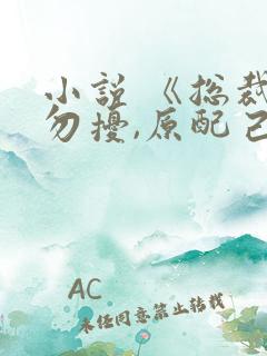 小说 《总裁请勿扰,原配己重生》