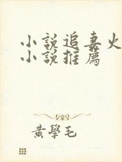 小说追妻火葬场小说推荐