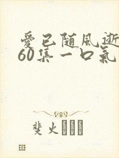 爱已随风逝短剧60集一口气看完