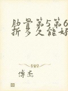 肋骨第5第6骨折多久能好