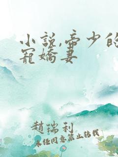 小说,帝少的独宠娇妻