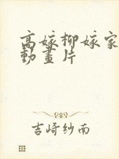 高嫁柳嫁家1集动画片