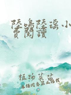 陆鸣陆瑶小说免费阅读