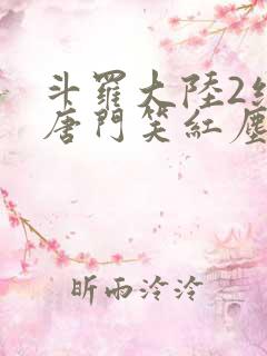 斗罗大陆2绝世唐门笑红尘