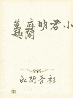 万历明君小说笔趣阁