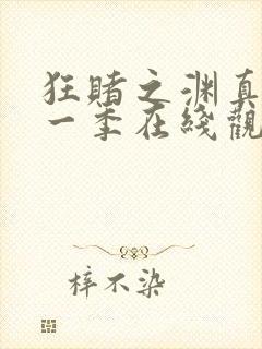 狂赌之渊真人第一季在线观看