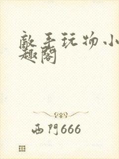 敌手玩物小说笔趣阁