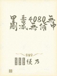 里番4080无删减无修中宇