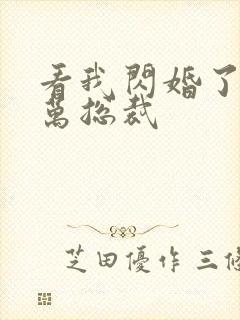 看我闪婚了个亿万总裁