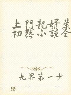 上门龙婿叶辰萧初然小说全集