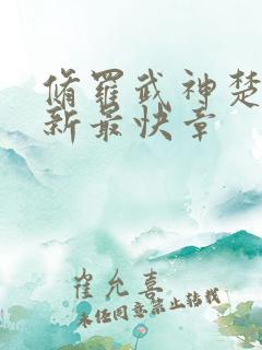 修罗武神楚枫最新最快章