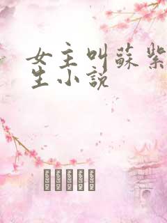 女主叫苏紫的重生小说