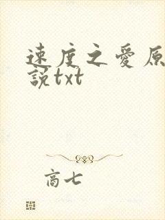 速度之爱原著小说txt