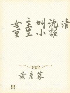 女主叫沈清月的重生小说