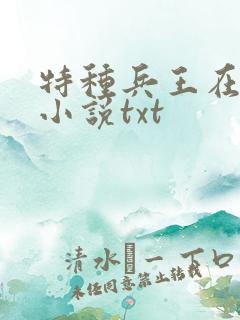 特种兵王在山村小说txt