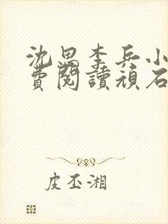 沈思李兵小说免费阅读顽石网