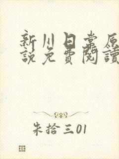 新川日常原著小说免费阅读
