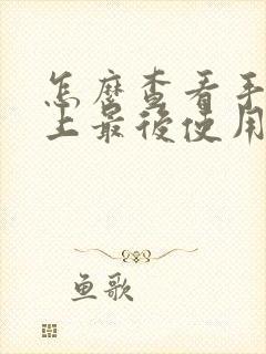 怎么查看手机晚上最后使用时间